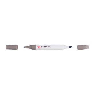Fixa Royal Talens Pantone, 2 hroty, Pantone 403 (šedá)