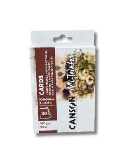 Canson Mi-Teintes A6 (14,8 x 10,5 cm) - kartičky pro pastel, uhel, tužku 160 g/m², 30 kusů